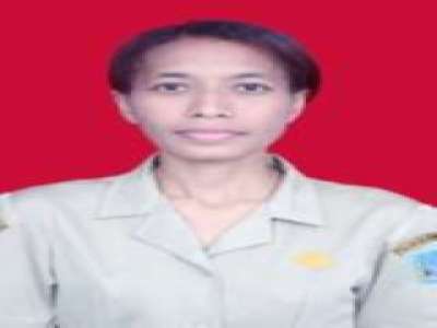 ELVINA SALOMINA RUMBARAR, S.Ke