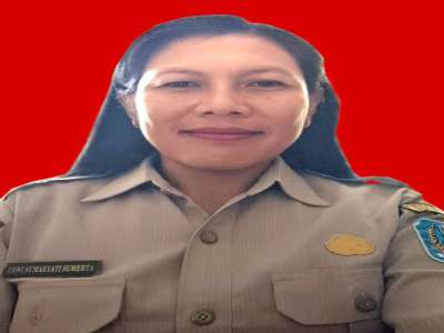 DEWI SUMARYATI SUMERTHA , S.So